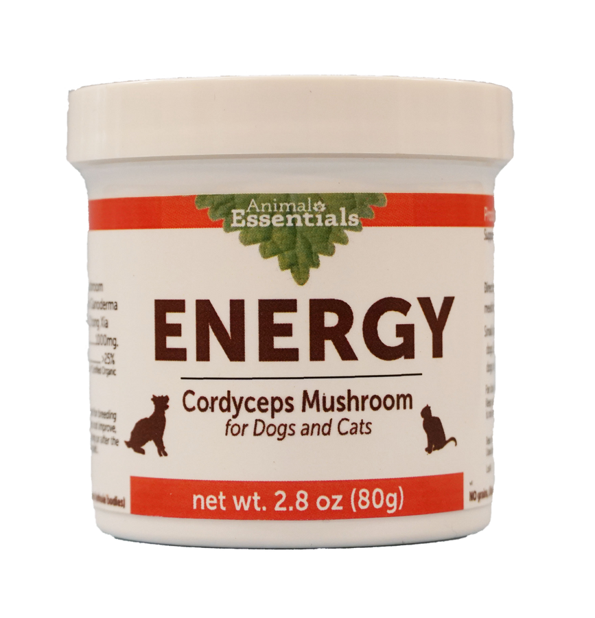 ENERGY Cordyceps mushroom powder extract for Dogs & Cats