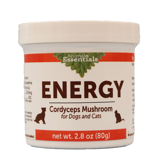 ENERGY Cordyceps mushroom powder extract for Dogs & Cats