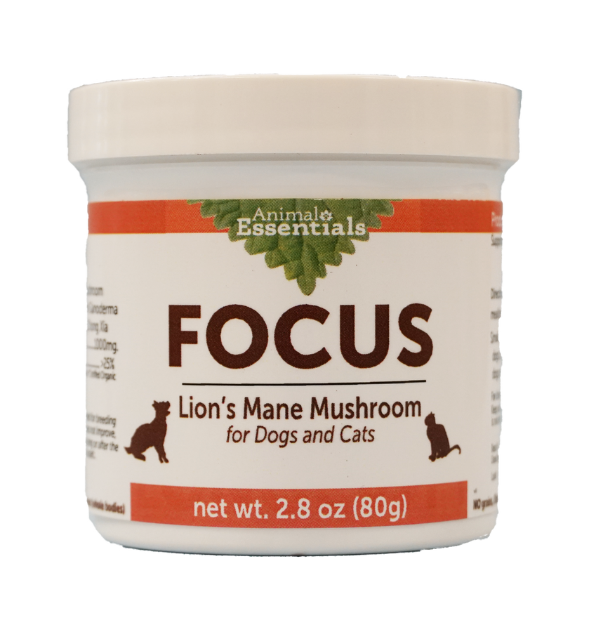 FOCUS Lion's Mane mushroom powder extract for Dogs & Cats