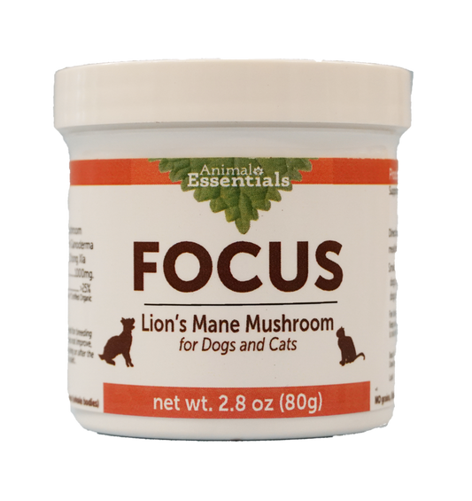 FOCUS Lion's Mane mushroom powder extract for Dogs & Cats